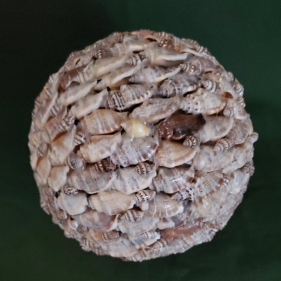 Seashell Home Decor Big Ball Sphere Sea Shell Beach Handmade - Picture 7 of 9